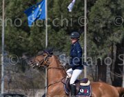 Rikkert Winde TosTour2013- S5 2218 : Arezzo, Arezzo Equestrian Centre, Rikkert Kristen, Toscana Tour 2013, Winde RAG, foto di Stefano Secchi ©