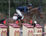 Rivetti Cartoon TosTour 2013- S4 6995 : Arezzo Equestrian Centre, Cartoon, Rivetti Cassio, Toscana Tour 2013, foto di Stefano Secchi ©