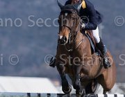 Rivetti Constara TosTour2013- S5 2716 : Arezzo, Arezzo Equestrian Centre, Constara, Rivetti Cassio, Toscana Tour 2013, foto di Stefano Secchi ©