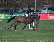 Rodriquez Sjaloma TosTour2013- S5 2416 : Arezzo, Arezzo Equestrian Centre, Rodriquez Ludovica, Sjaloma K, Toscana Tour 2013, foto di Stefano Secchi ©