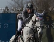 Ryan Cruise TosTour 2013- S5 3445 : Arezzo Equestrian Centre, Cruise on Clover, Ryan Thomas, Toscana Tour 2013, foto di Stefano Secchi ©