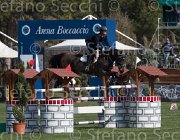 Sanfelice Aseth TosTour2013- S5 2365 : Arezzo, Arezzo Equestrian Centre, Aseth S, Sanfelice Antonio, Toscana Tour 2013, foto di Stefano Secchi ©