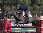Sanfelice Aseth TosTour2013- S5 2368 : Arezzo, Arezzo Equestrian Centre, Aseth S, Sanfelice Antonio, Toscana Tour 2013, foto di Stefano Secchi ©