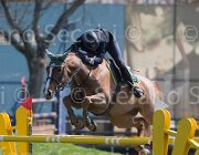 Sanfelice Indiana TosTour2013- S5 2590 : Arezzo, Arezzo Equestrian Centre, Indiana del Terriccio, Sanfelice Antonio, Toscana Tour 2013, foto di Stefano Secchi ©