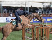 Sanfelice Indiana TosTour2013- S5 2593 : Arezzo, Arezzo Equestrian Centre, Indiana del Terriccio, Sanfelice Antonio, Toscana Tour 2013, foto di Stefano Secchi ©