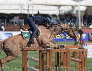 Sanfelice Indiana TosTour2013- S5 2594 : Arezzo, Arezzo Equestrian Centre, Indiana del Terriccio, Sanfelice Antonio, Toscana Tour 2013, foto di Stefano Secchi ©