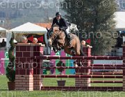 Schlusselburg Cashmare TosTour2013- S5 2049 : Arezzo, Arezzo Equestrian Centre, Cashmare, Schlusselburg Sven, Toscana Tour 2013, foto di Stefano Secchi ©