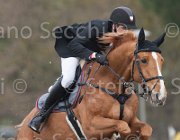 Schou Allerdings TosTour 2013- S4 6689 : Allerdings, Arezzo Equestrian Centre, Schou Andreas, Toscana Tour 2013, foto di Stefano Secchi ©
