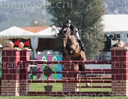 Smith Sonnengraf TosTour2013- S5 2042 : Arezzo, Arezzo Equestrian Centre, Smith Jason, Sonnengraf CH, Toscana Tour 2013, foto di Stefano Secchi ©