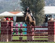 Smith Sonnengraf TosTour2013- S5 2043 : Arezzo, Arezzo Equestrian Centre, Smith Jason, Sonnengraf CH, Toscana Tour 2013, foto di Stefano Secchi ©
