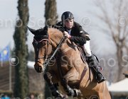 Smith Sonnengraf TosTour2013- S5 2044 : Arezzo, Arezzo Equestrian Centre, Smith Jason, Sonnengraf CH, Toscana Tour 2013, foto di Stefano Secchi ©