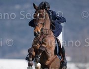 Spooner Apache TosTour2013- S5 2884 : Apache, Arezzo, Arezzo Equestrian Centre, Spooner Richard, Toscana Tour 2013, foto di Stefano Secchi ©