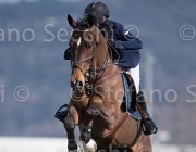 Spooner Apache TosTour2013- S5 2885 : Apache, Arezzo, Arezzo Equestrian Centre, Spooner Richard, Toscana Tour 2013, foto di Stefano Secchi ©