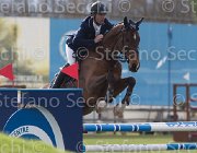 Spooner Apache TosTour 2013- S5 7593 : Apache, Arezzo Equestrian Centre, Spooner Richard, Toscana Tour 2013, foto di Stefano Secchi ©
