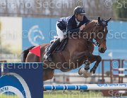 Spooner Apache TosTour 2013- S5 7594 : Apache, Arezzo Equestrian Centre, Spooner Richard, Toscana Tour 2013, foto di Stefano Secchi ©