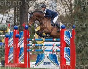Spooner Caretol TosTour 2013- S4 6712 : Arezzo Equestrian Centre, Caretol, Spooner Richard, Toscana Tour 2013, foto di Stefano Secchi ©