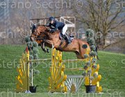 Stampfli Alessa TosTour2013- S5 2941 : Alessa Z, Arezzo, Arezzo Equestrian Centre, Stampfli Emilie, Toscana Tour 2013, foto di Stefano Secchi ©
