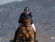 Stampfli Alessa TosTour2013- S5 2944 : Alessa Z, Arezzo, Arezzo Equestrian Centre, Stampfli Emilie, Toscana Tour 2013, foto di Stefano Secchi ©