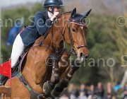 Stampfli Alessa TosTour 2013- S5 7459 : Alessa Z, Arezzo Equestrian Centre, Stampfli Emilie, Toscana Tour 2013, foto di Stefano Secchi ©