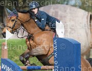 Stampfli Nikita TosTour 2013- S5 3260 : Arezzo Equestrian Centre, Nikita du Luot, Stampfli Emilie, Toscana Tour 2013, foto di Stefano Secchi ©