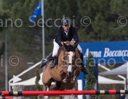 Szentirmai Quickdiamond TosTour 2013- S5 7149 : Arezzo Equestrian Centre, Quickdiamond, Szentirmai Ferenc, Toscana Tour 2013, foto di Stefano Secchi ©