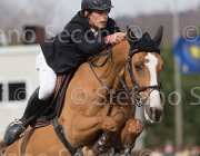 Szentirmai Quickdiamond TosTour 2013- S5 7152 : Arezzo Equestrian Centre, Quickdiamond, Szentirmai Ferenc, Toscana Tour 2013, foto di Stefano Secchi ©