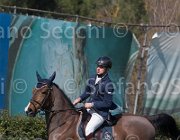 Umnus Nesquik TosTour2013- S5 2140 : Arezzo, Arezzo Equestrian Centre, Toscana Tour 2013, Umnus Roger_LB Nesquik, foto di Stefano Secchi ©