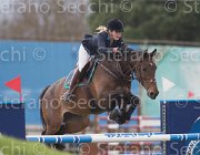 Verhagen Willemijn TosTour 2013- S5 7349 : Arezzo Equestrian Centre, Toscana Tour 2013, Verhagen Charlotte, foto di Stefano Secchi ©, willemijn HI