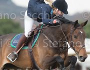 Verhagen Willemijn TosTour 2013- S5 7358 : Arezzo Equestrian Centre, Toscana Tour 2013, Verhagen Charlotte, foto di Stefano Secchi ©, willemijn HI