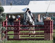 Verhagen Zimba TosTour2013- S5 2099 : Arezzo, Arezzo Equestrian Centre, Toscana Tour 2013, Verhagen Charlotte, Zimba Hl, foto di Stefano Secchi ©