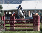 Verhagen Zimba TosTour2013- S5 2100 : Arezzo, Arezzo Equestrian Centre, Toscana Tour 2013, Verhagen Charlotte, Zimba Hl, foto di Stefano Secchi ©