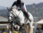 Verhagen Zimba TosTour2013- S5 2102 : Arezzo, Arezzo Equestrian Centre, Toscana Tour 2013, Verhagen Charlotte, Zimba Hl, foto di Stefano Secchi ©