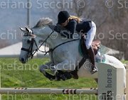 Verhagen Zimba TosTour2013- S5 2104 : Arezzo, Arezzo Equestrian Centre, Toscana Tour 2013, Verhagen Charlotte, Zimba Hl, foto di Stefano Secchi ©