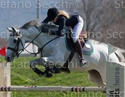 Verhagen Zimba TosTour2013- S5 2105 : Arezzo, Arezzo Equestrian Centre, Toscana Tour 2013, Verhagen Charlotte, Zimba Hl, foto di Stefano Secchi ©