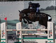 Weishaupt Casall TosTour 2013- S5 3406 : Arezzo Equestrian Centre, Casall, Toscana Tour 2013, Weishaupt Maximilian, foto di Stefano Secchi ©