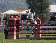 WhitackerG Wesselton TosTour2013- S5 1991 : Arezzo, Arezzo Equestrian Centre, Toscana Tour 2013, Wesselton M, Whitacker George, foto di Stefano Secchi ©