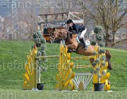 WhitakerG Tubana TosTour2013- S5 2791 : Arezzo, Arezzo Equestrian Centre, Toscana Tour 2013, Tubana, Whitacker George, foto di Stefano Secchi ©