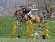 WhitakerG Tubana TosTour2013- S5 2792 : Arezzo, Arezzo Equestrian Centre, Toscana Tour 2013, Tubana, Whitacker George, foto di Stefano Secchi ©