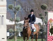 WhitakerG Tubana TosTour2013- S5 2793 : Arezzo, Arezzo Equestrian Centre, Toscana Tour 2013, Tubana, Whitacker George, foto di Stefano Secchi ©