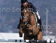 WhitakerG Tubana TosTour2013- S5 2796 : Arezzo, Arezzo Equestrian Centre, Toscana Tour 2013, Tubana, Whitacker George, foto di Stefano Secchi ©
