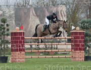 Witteboon Question TosTour 2013- S4 6874