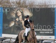 Witteboon Question TosTour 2013- S4 6875 : Arezzo Equestrian Centre, Question St Loise, Toscana Tour 2013, Witteboon Talissa, foto di Stefano Secchi ©