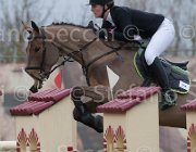 Witteboon Question TosTour 2013- S4 6877 : Arezzo Equestrian Centre, Question St Loise, Toscana Tour 2013, Witteboon Talissa, foto di Stefano Secchi ©