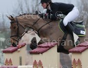 Witteboon Question TosTour 2013- S4 6878 : Arezzo Equestrian Centre, Question St Loise, Toscana Tour 2013, Witteboon Talissa, foto di Stefano Secchi ©