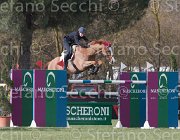 Zorzetto Villeneuve TosTour 2013- S5 7443 : Arezzo Equestrian Centre, Toscana Tour 2013, Villeneuve, Zorzetto Eleonora, foto di Stefano Secchi ©