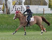 Zorzetto Villeneuve TosTour 2013- S5 7785 : Arezzo Equestrian Centre, Toscana Tour 2013, Villeneuve, Zorzetto Eleonora, foto di Stefano Secchi ©