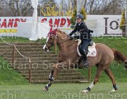 Zorzetto Villeneuve TosTour 2013- S5 7788 : Arezzo Equestrian Centre, Toscana Tour 2013, Villeneuve, Zorzetto Eleonora, foto di Stefano Secchi ©