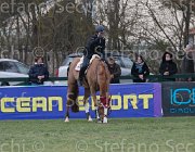 Zorzetto Villeneuve TosTour 2013- S5 7793 : Arezzo Equestrian Centre, Toscana Tour 2013, Villeneuve, Zorzetto Eleonora, foto di Stefano Secchi ©
