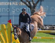 Zuvadelli Walestro TosTour2013- S5 2634 : Arezzo, Arezzo Equestrian Centre, Toscana Tour 2013, Walestro, Zuvadelli Paolo, foto di Stefano Secchi ©