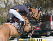 Zuvadelli Walestro TosTour2013- S5 2638 : Arezzo, Arezzo Equestrian Centre, Toscana Tour 2013, Walestro, Zuvadelli Paolo, foto di Stefano Secchi ©